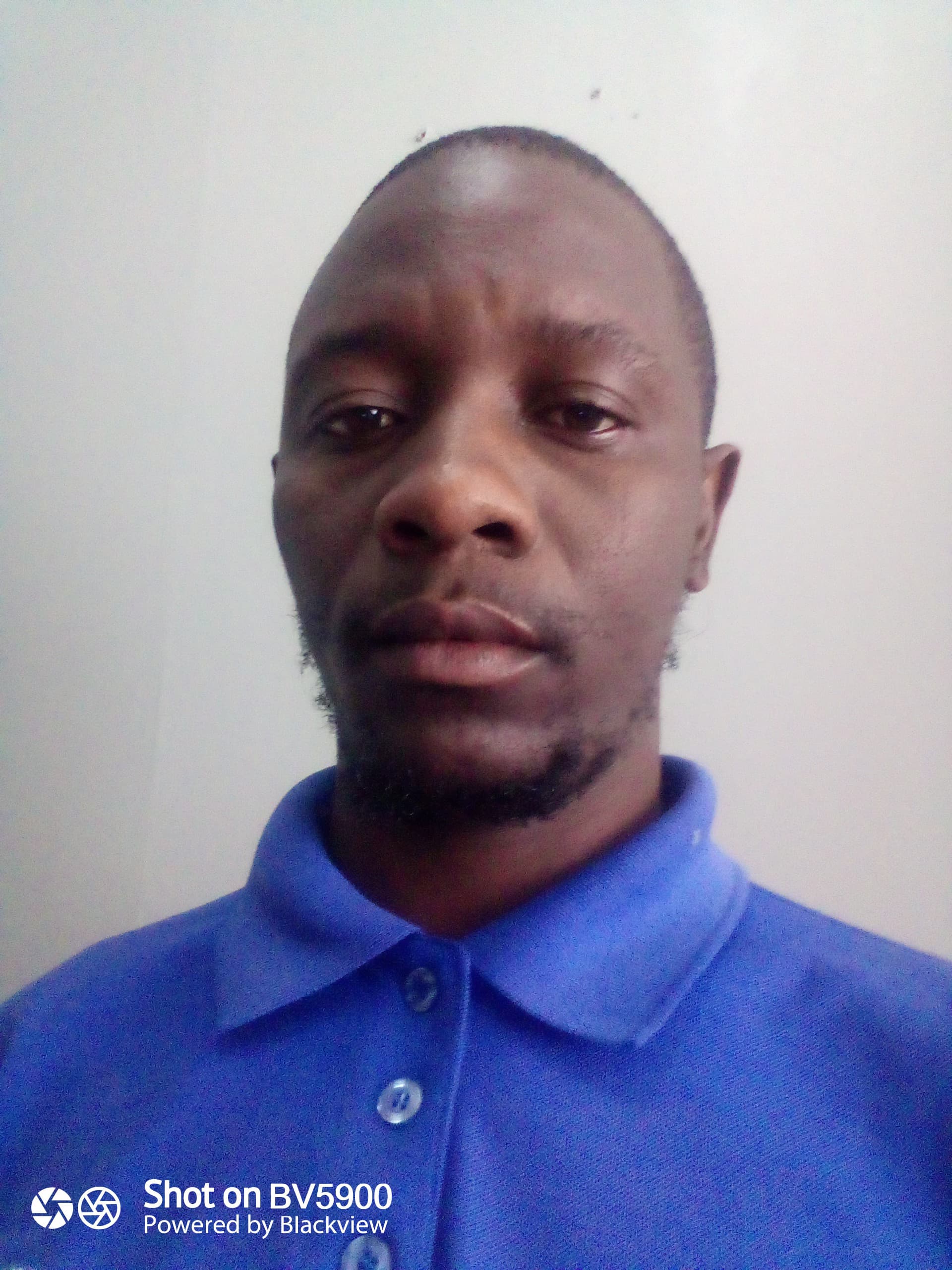 Stellafelistus Khaleha